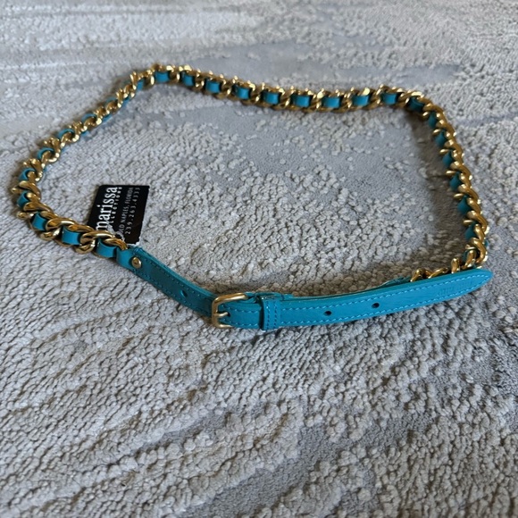 Miu Miu Gold Chain Braided Belt in teal Patent leather
Small new - Picture 6 of 8